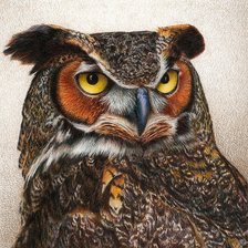 Схема вышивки «ночной страж»