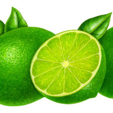 Схема вышивки «Лайм»