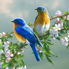 Схема вышивки «Птицы на ветках»