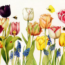 Схема вышивки «Тюльпаны»