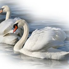 Схема вышивки «№1197553»