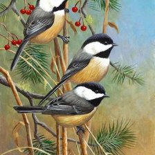 Схема вышивки «№1197936»