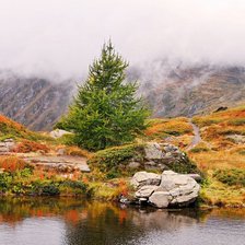Схема вышивки «Осенний пейзаж»