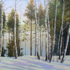 Схема вышивки «Зима»