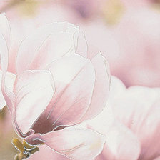 Схема вышивки «№1199008»