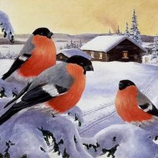 Схема вышивки «№1199059»