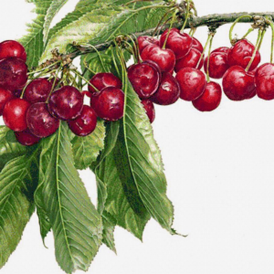 №1199187 - предпросмотр