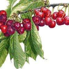 Схема вышивки «№1199187»