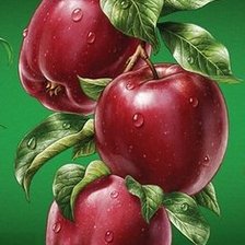 Схема вышивки «яблочки»