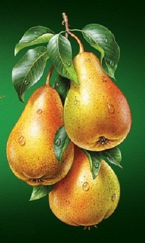 груши - оригинал