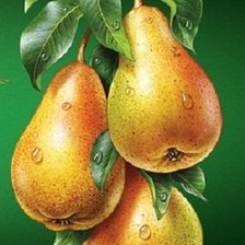 Схема вышивки «груши»