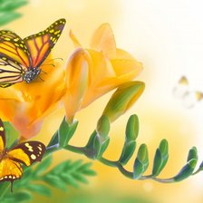 Схема вышивки «Оранжевые бабочки»