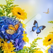 бабочка на синем