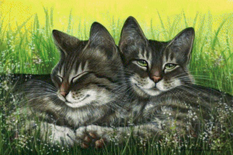 мир животных - предпросмотр