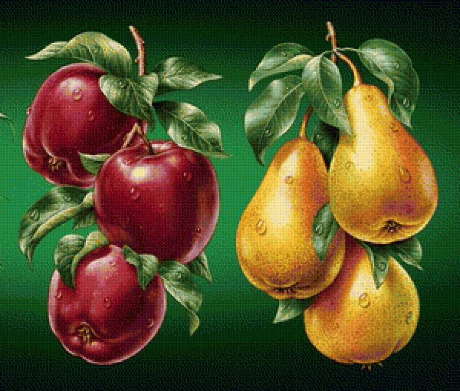 натюрморт для кухни - яблоки, груши - предпросмотр