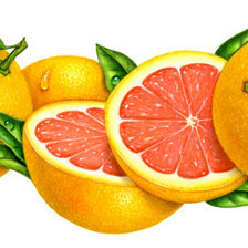 Схема вышивки «фрукты»