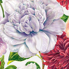 Схема вышивки «№1199303»