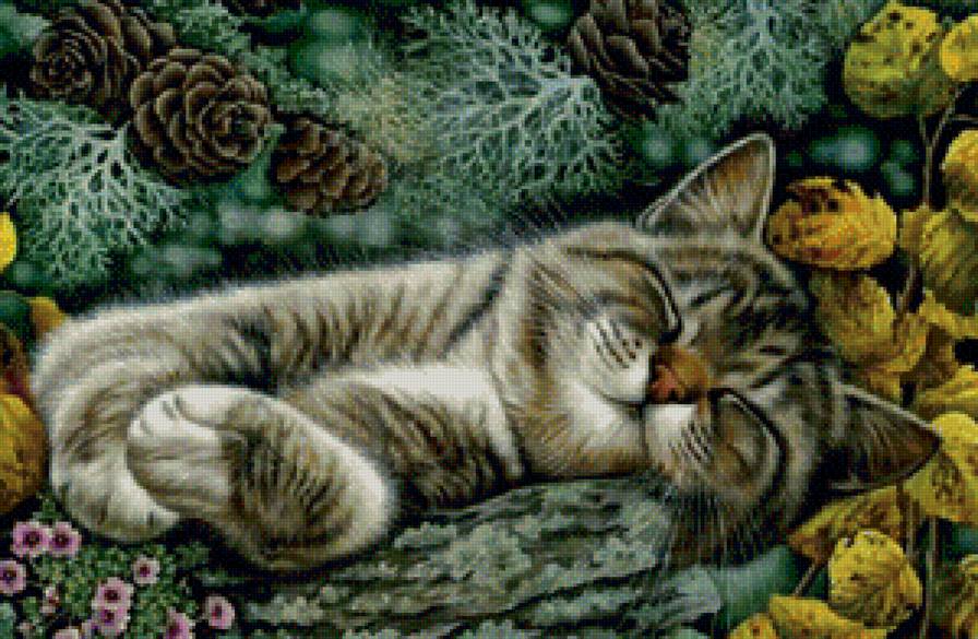 котик - кошки, природа, картина - предпросмотр