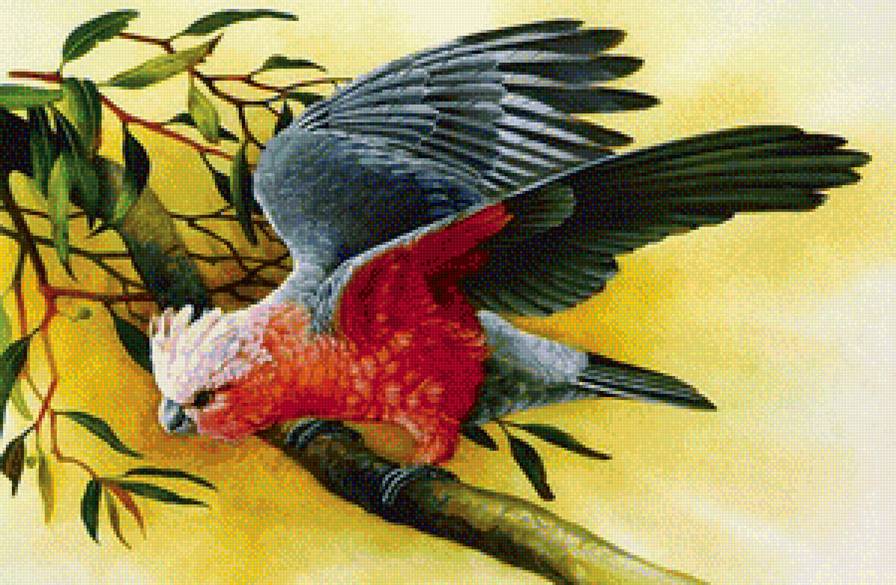 птица - птицы, природа - предпросмотр