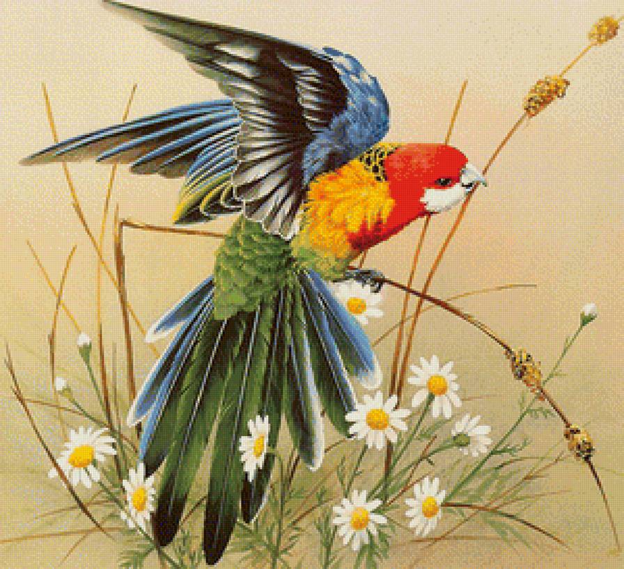 птичка - птицы, природа - предпросмотр