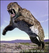 Схема вышивки «Саблезубый тигр»