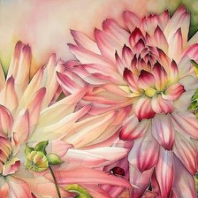 Схема вышивки «Серия "Флора"»