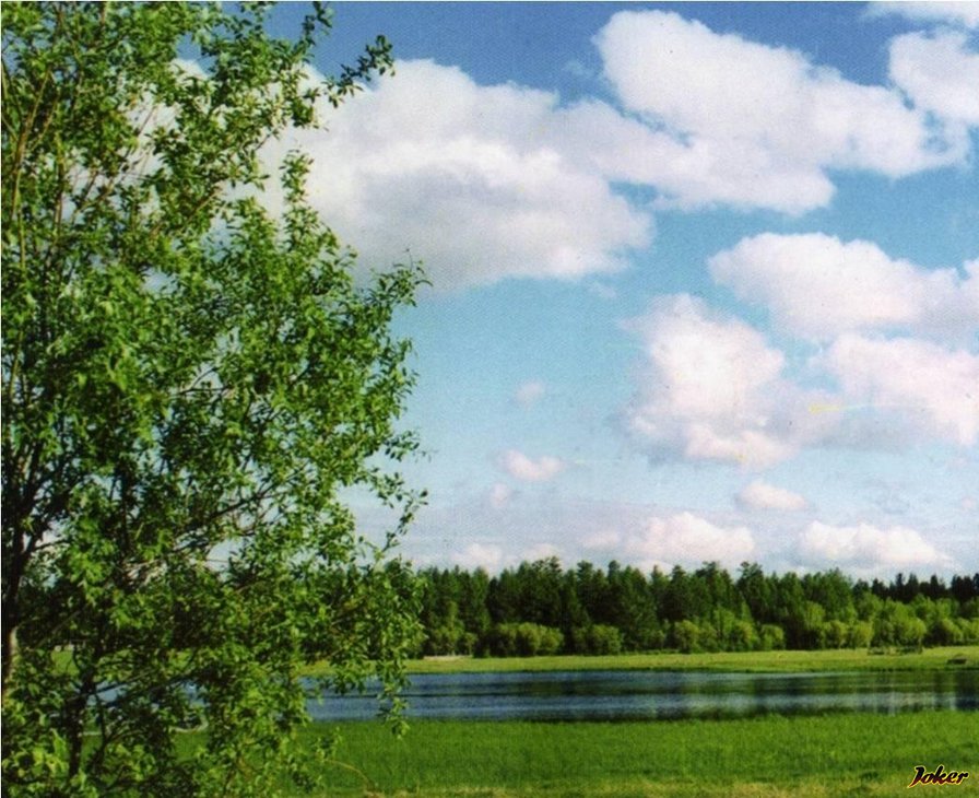 Родные просторы - река природа небо дерево у реки трава - оригинал