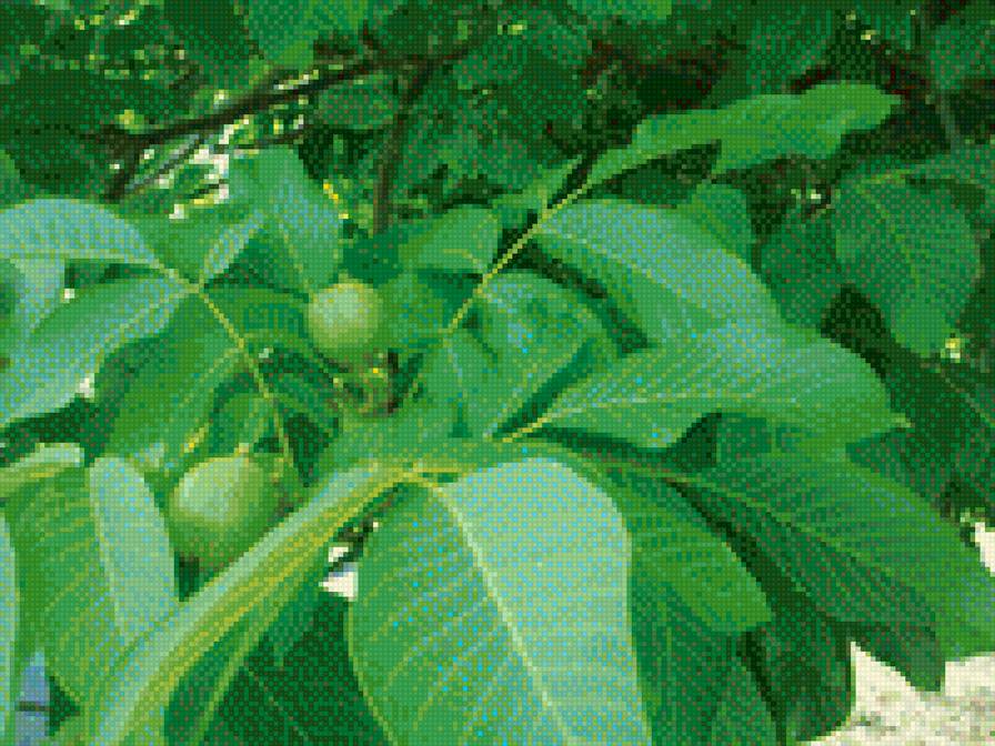 Родос. Лимоны. - пионы, красивые вышивки, вышивка крестом - предпросмотр