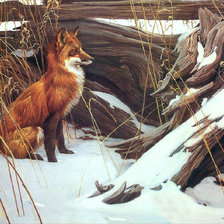 Схема вышивки «ЛИСА»