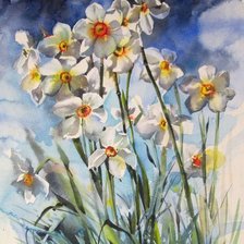 Схема вышивки «полевые цветы»