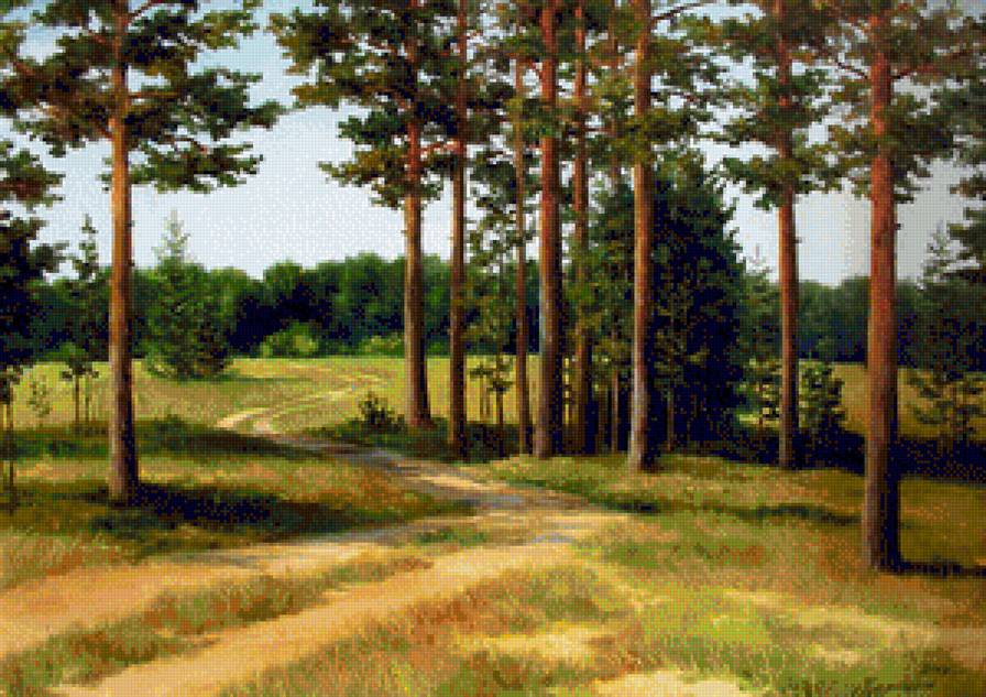 Лес - лес, пейзаж, природа - предпросмотр