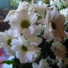 Схема вышивки «№1201351»