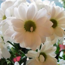 Схема вышивки «№1201358»