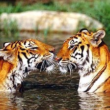 Схема вышивки «№1201361»