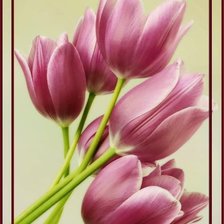 Схема вышивки «№1201363»