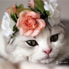 Схема вышивки «№1201365»