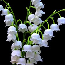 Схема вышивки «цветы»