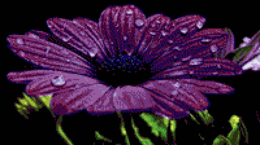 цветы - гербера - предпросмотр