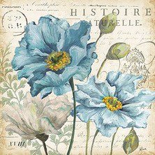 Схема вышивки «Голубые маки.»