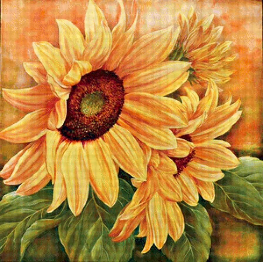 Подсолнухи - подсолнух, подушка, подсолнухи, желтые цветы, цветы, лето, солнце - предпросмотр