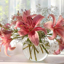 Схема вышивки «лилии1»