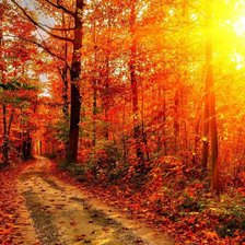 Схема вышивки «Рассвет в лесу»