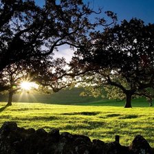 Схема вышивки «природа»