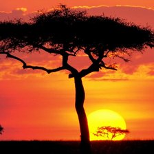 Схема вышивки «африканский закат»