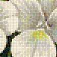 Предпросмотр схемы вышивки «Анютки» (№1202418)