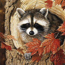 Схема вышивки «енотик»