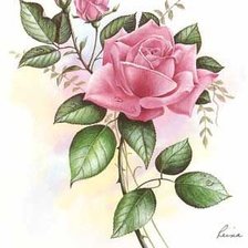 Схема вышивки «роза»