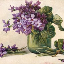 Схема вышивки «фиалочкив банке»