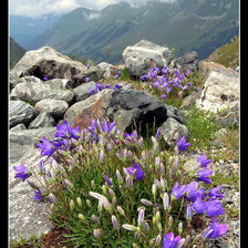 весна в горах