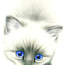 Схема вышивки «137»